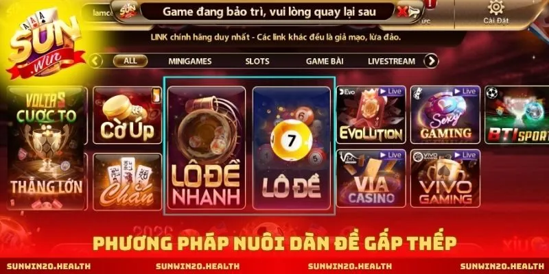 Phương pháp nuôi dàn đề gấp thếp